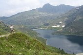 Dalle Baite di Mezzeno salita ai Laghi Gemelli, Colombo, Becco e Marcio...incontro con...fiori e stambecchi! - FOTOGALLERY